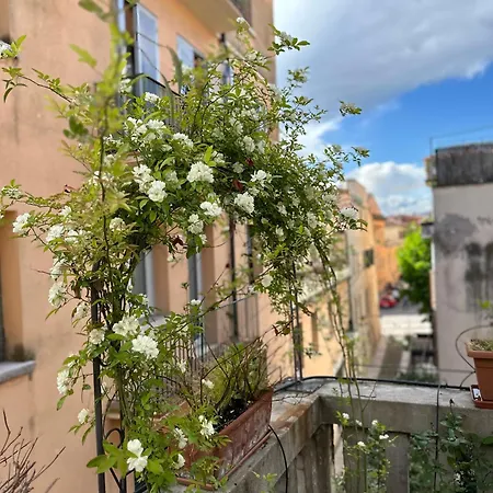 Il Nido Di Emma A Apartment